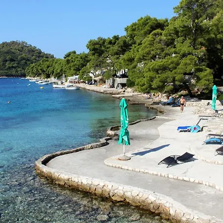 Seaside House With A Swimming Pool Pasadur, - 15847 * Lastovo
